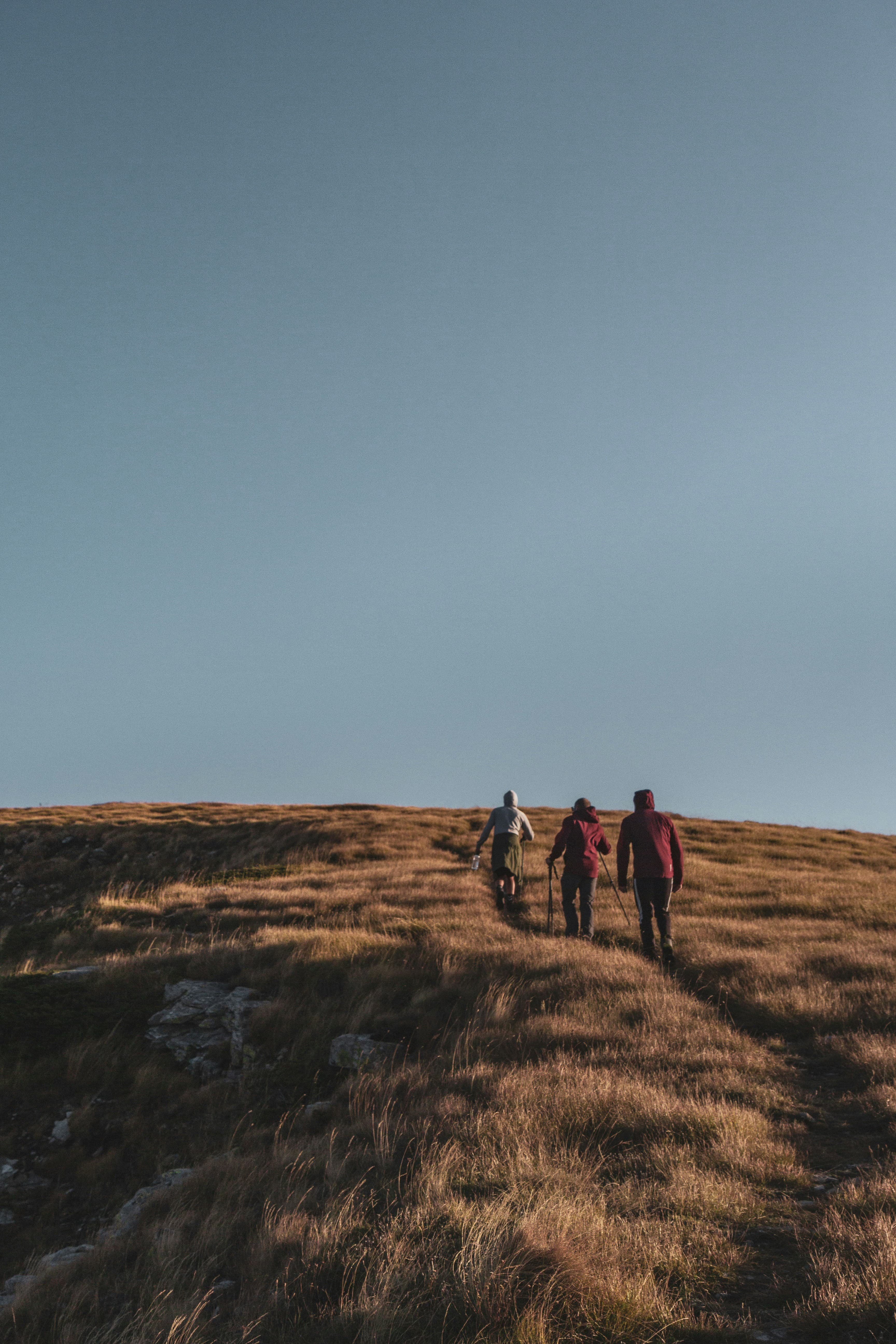Three walkers following a path across a sunlit hillside